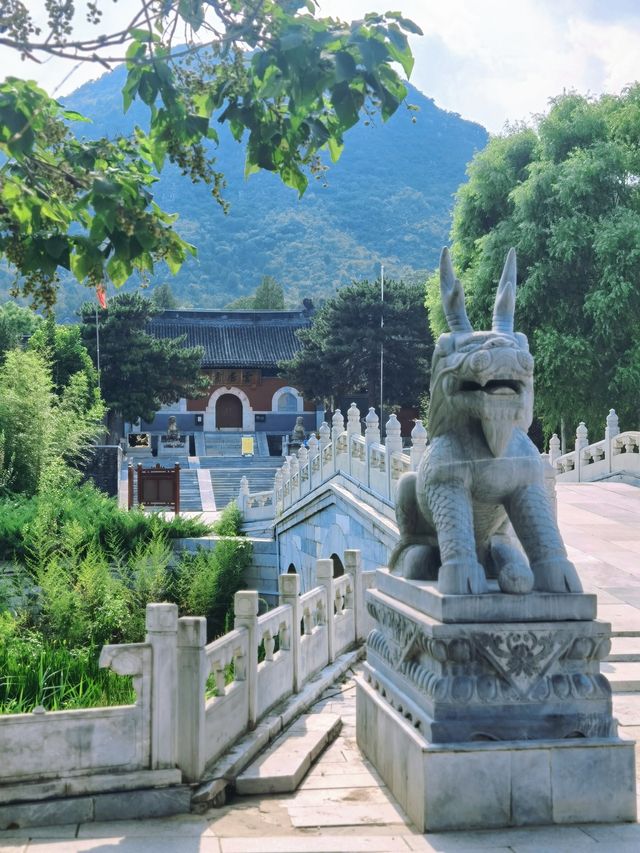 太好住啦！熱帶植物環繞的私湯民宿