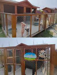 窮遊黨激動哭了，來上海一定要住這家！