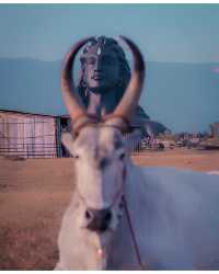 ||巨物恐懼症慎入印度濕婆神像Adiyogi