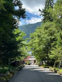 山桜庵：高山溫泉鄉的和洋式風情，飛驒牛與硫磺溫泉的雙重享受