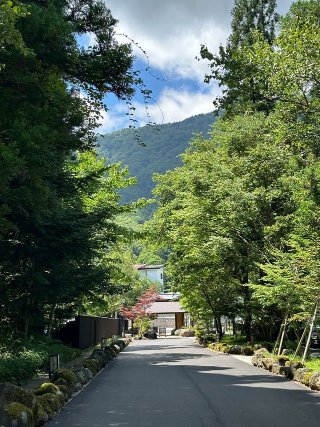 山桜庵：高山溫泉鄉的和洋式風情，飛驒牛與硫磺溫泉的雙重享受