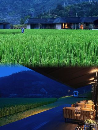 Lying in the rice fields for a small happiness at Ctrip Farm 🫶