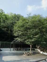 莫干山民宿｜只是放空發呆也可以很療癒啊
