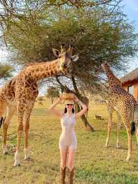 Tanzania Safari Park won my heart 🥰❤️