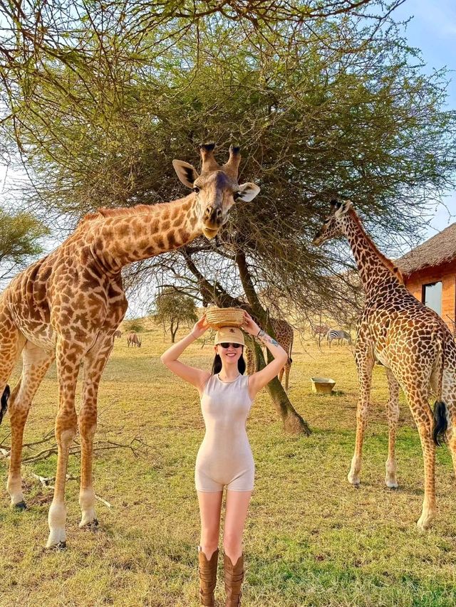 Tanzania Safari Park won my heart 🥰❤️