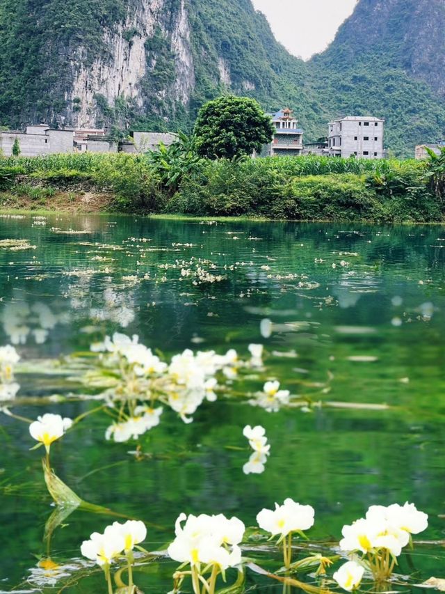 高鐵直達,就在廣西。