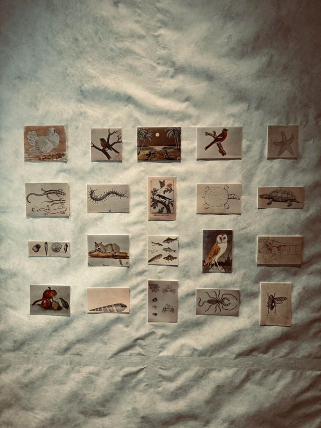 上海外灘美術館|夢幻與視覺的交織。