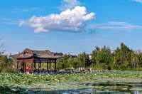 長春北湖濕地公園 -- 國家4A級旅遊景區。