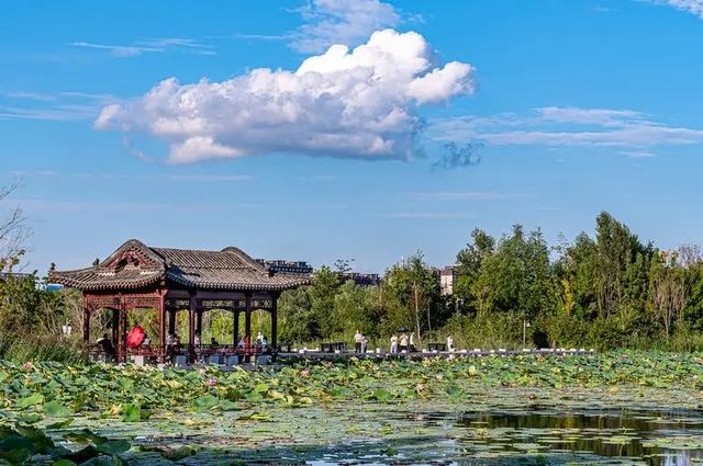 長春北湖濕地公園 -- 國家4A級旅遊景區。