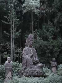 重慶主城2小時車程,我在這座山上感到非常寒冷。