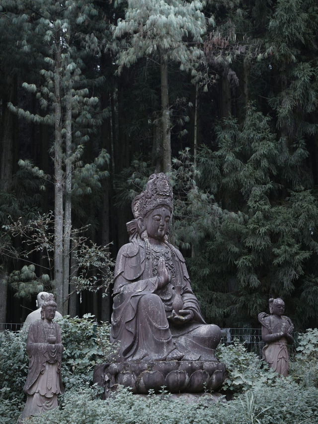 重慶主城2小時車程,我在這座山上感到非常寒冷。