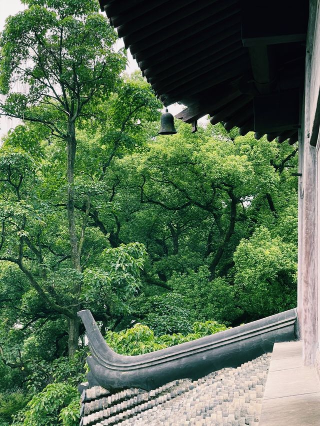 別讓忙碌掩蓋了生活的浪漫。