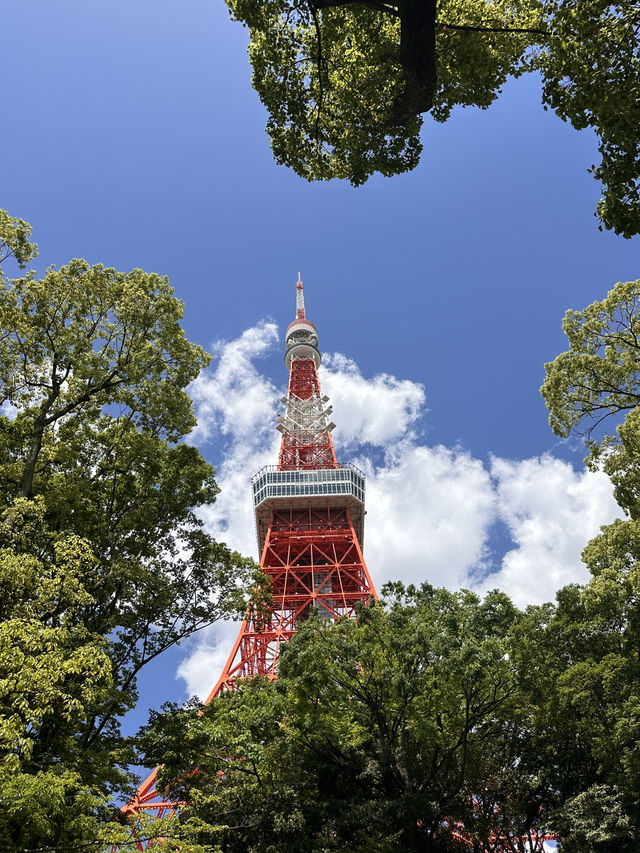 The Best Views of Tokyo From The Iconic Tokyo Tower 🗼 