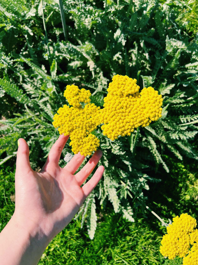 魅力南特｜繽紛植物園之旅。