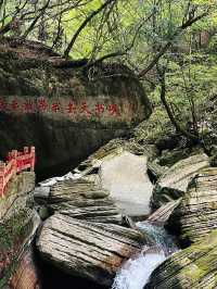 人生是狂野，而非軌道。
