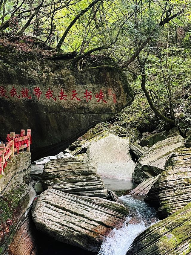 人生是狂野，而非軌道。