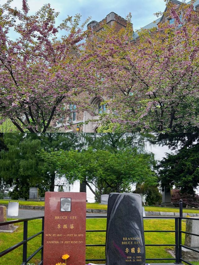 西雅圖，邂逅浪漫與自然交匯之城。