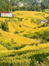 固原梯田｜觸摸大地指紋，邂逅最美梯田。