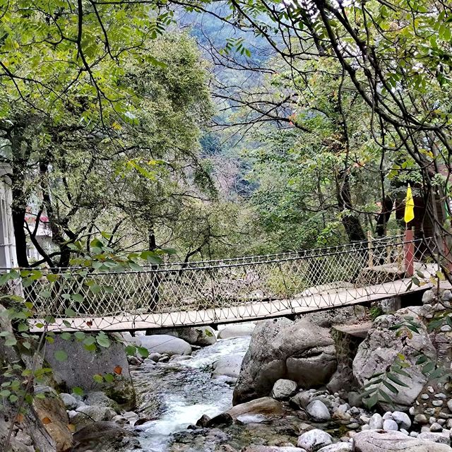 紅河谷森林公園   紅河峽谷久名重，水發山巔布瀑長。