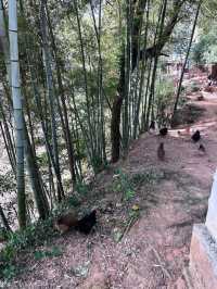 偶爾出去呼吸一下新鮮空氣也還不錯。