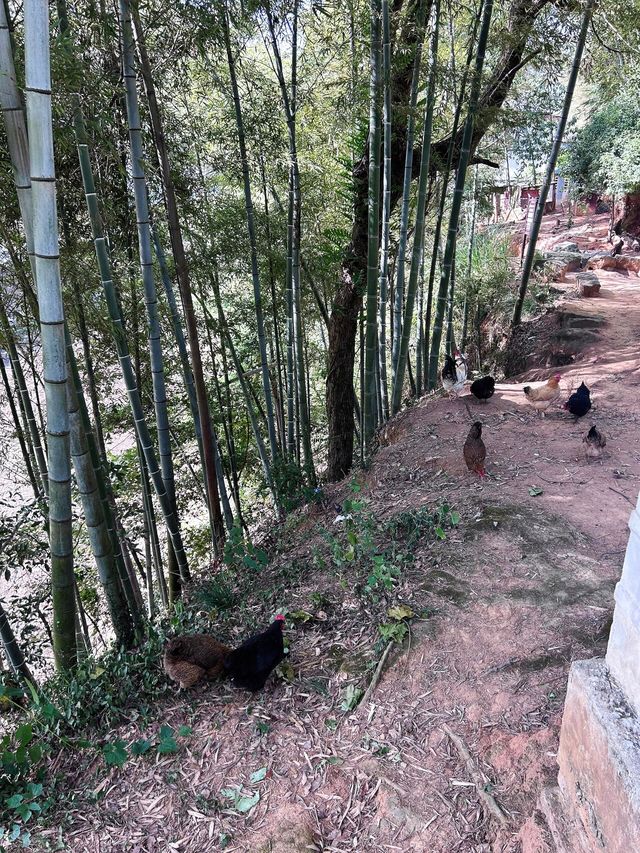 偶爾出去呼吸一下新鮮空氣也還不錯。