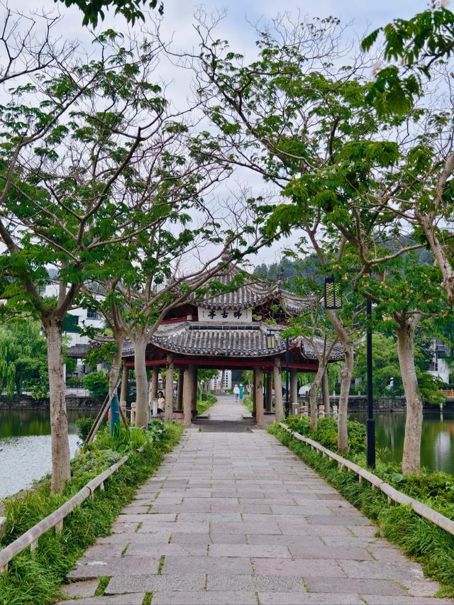 寧波｜有山有水有村落，還有古街的線路。