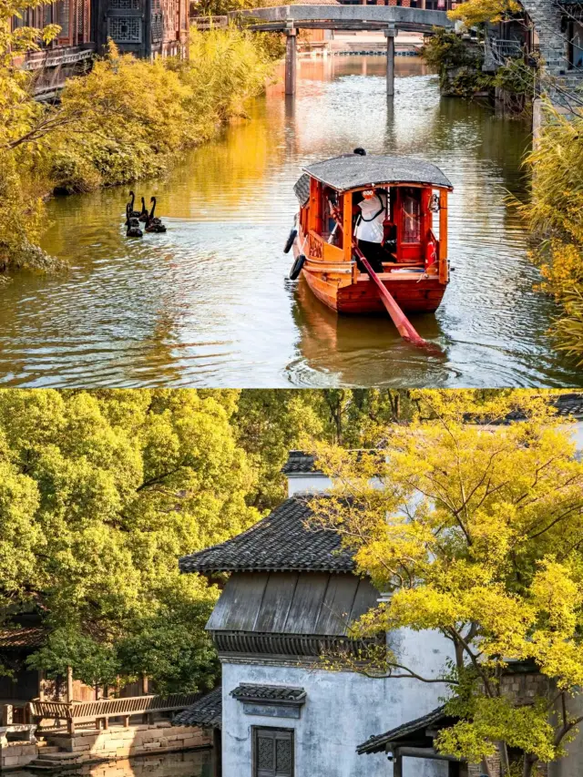 Jiaxing Puyuan | Ginkgo Viewing Guide