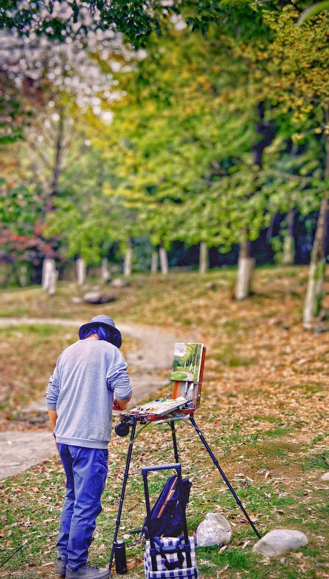 金秋徒步最美城市公園。