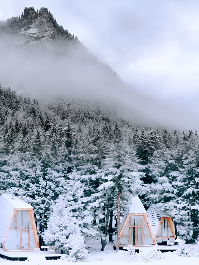 感受冬日美景，森林雪景木屋！真的好有格調啊。