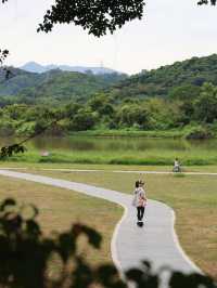 從化免費公園 露營野餐遛娃好去處。