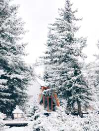 成都西嶺雪山！住進韓劇裡的小屋！！