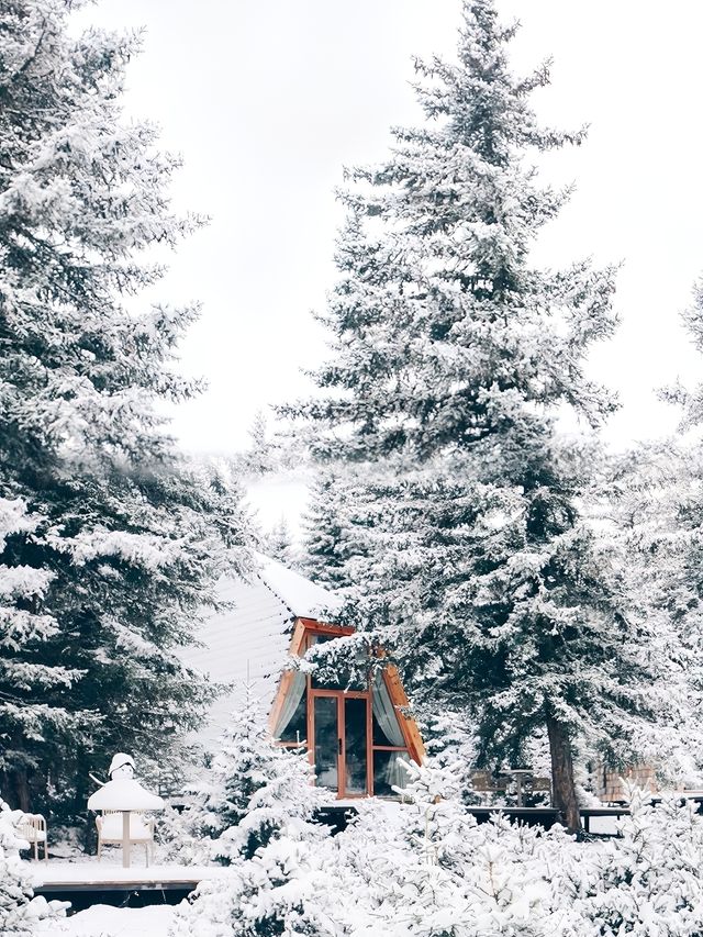 成都西嶺雪山！住進韓劇裡的小屋！！