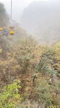 週末爬山太平國家森林公園。