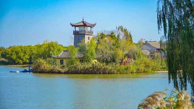 建湖九龍口：自然與文化交融的濕地瑰寶。