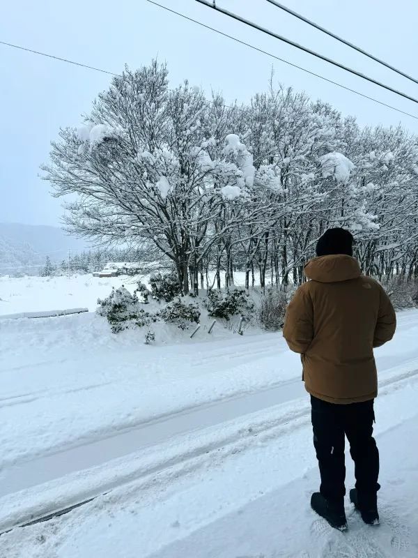 Experience the Enchanting Snowy Wonderland of Japan