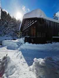 Experience the Enchanting Snowy Wonderland of Japan