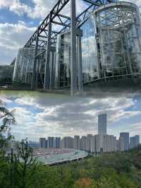 上海雙子山：城市中的自然秘境，等你來探秘！