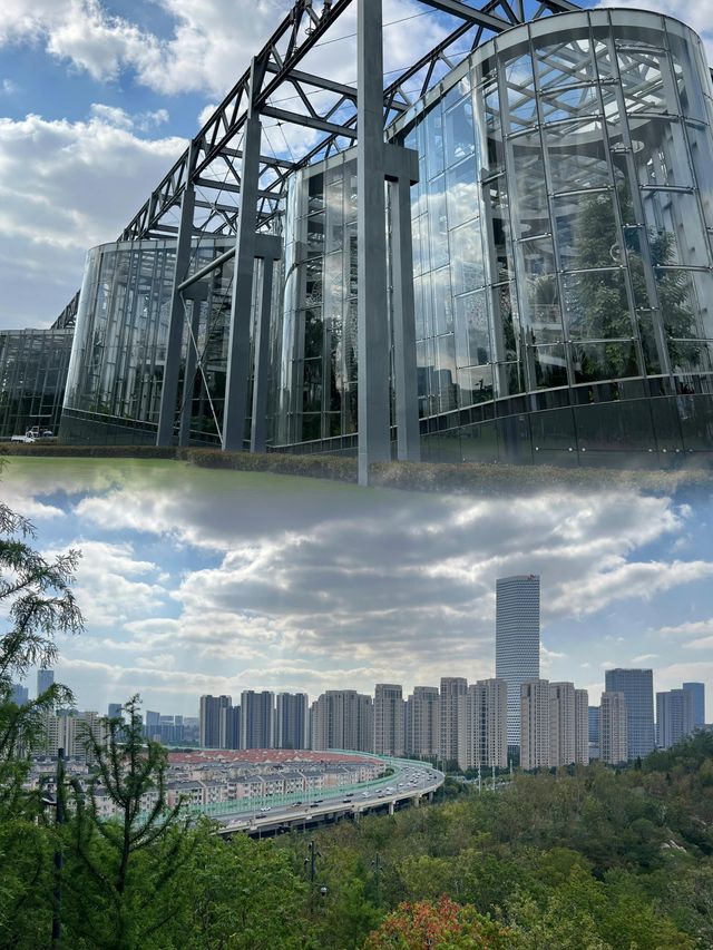 上海雙子山：城市中的自然秘境，等你來探秘！