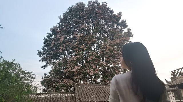 麗江束河又一居，入住皇家園林般的復古民宿。