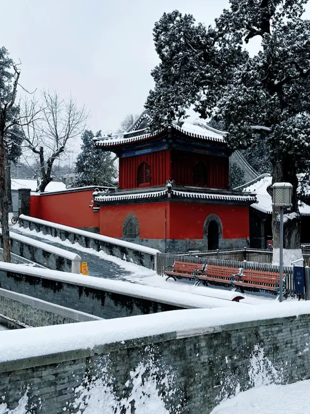 明燈三千，只願家人平安喜樂，歲歲年年—大覺寺。