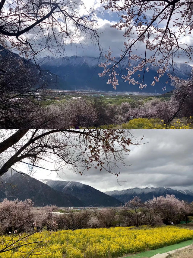 318川藏線林芝嘎拉村。