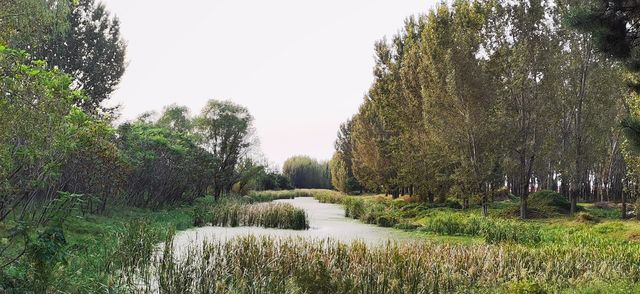 樂亭•古灤河生態公園。