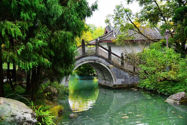 南郊公園｜一處隱藏在都市中的古色古香