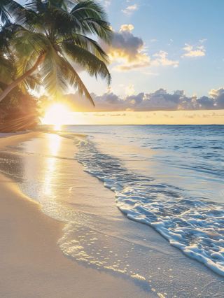 It's not that it's too expensive to go, but that the Bahamas is more cost-effective.