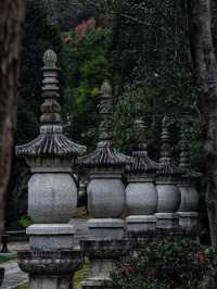 來武義，這個季節的延福寺一定不容錯過||延福寺：不單單是一座