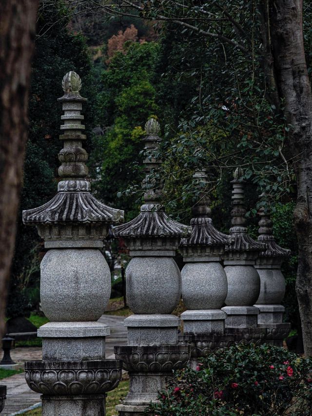 來武義，這個季節的延福寺一定不容錯過||延福寺：不單單是一座