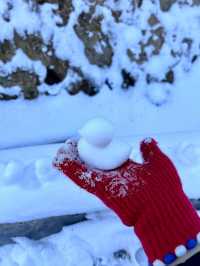 屁股坐爛去看雪