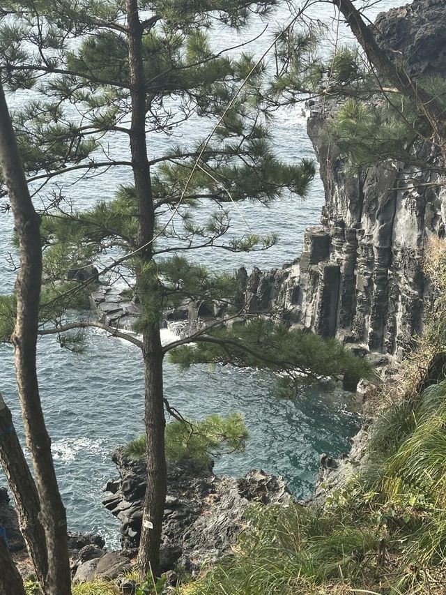 濟州島南線遊玩攻略