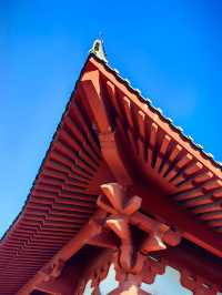 保定免費景點大佛光寺 保姆級攻略 請收藏
