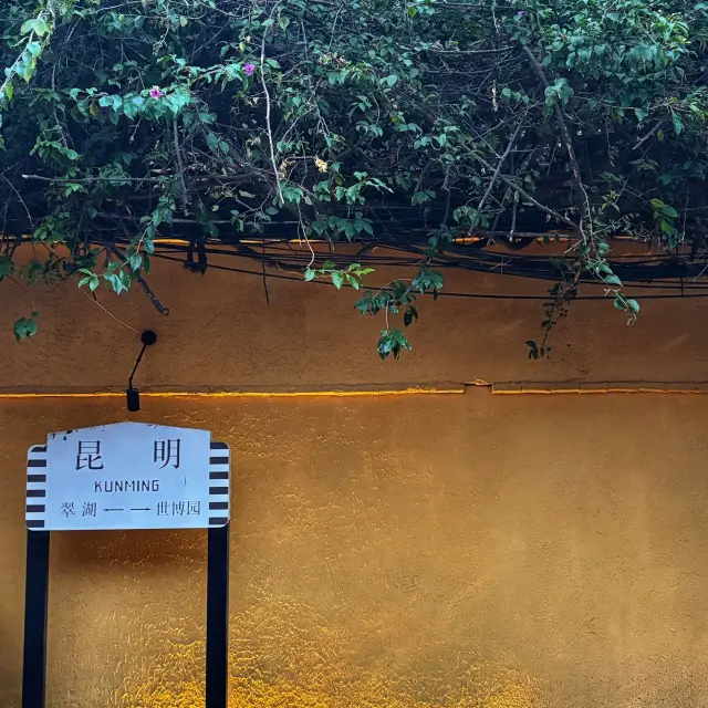 2 days in Kunming, Yunnan